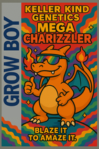 5x Mega Charizzler - Kellerkind Genetics